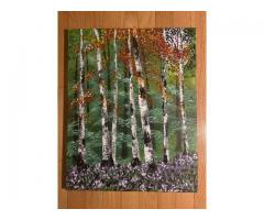 Birch Trees in Forest