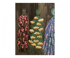 WildFlowers drying on Barn Wood